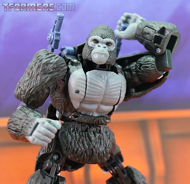 Transformers Kingdom Wave 1 Optimus Primal  (14 of 55)